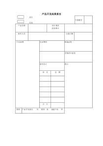 产品开发成果报告word模板