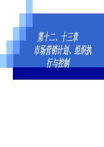 市场营销计划、组织、执行和控制