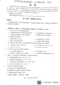 四川省20182019学年泸州市高一上学期期末统一考试化学试题