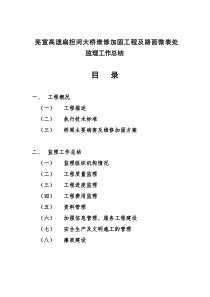 大桥维修加固工程及路面微表处监理工作总结监理工作总结共份