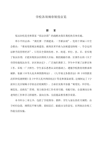 学校各项规章制度总览(1)