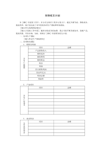 财务收支计划word模板