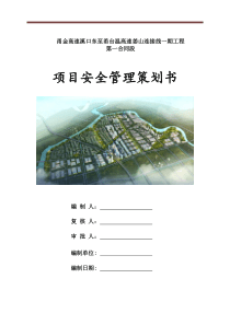 项目安全管理策划书