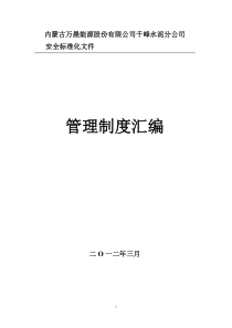 安全标准化管理制度模板