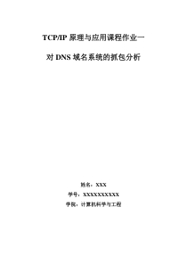 DNS抓包分析