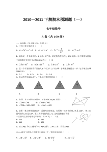 (北师大版)七年级下期数学测试题(精品测试题)