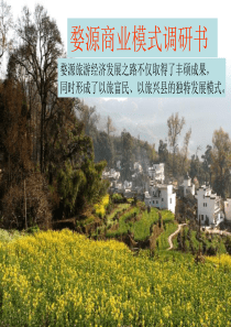 婺源旅游商业模式市场调研