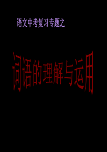 2013年中考语文复习词语的理解与运用ppt课件