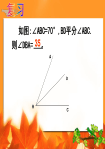 4.6.3余角与补角课件