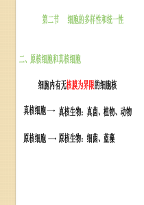 生物：1.2《细胞的多样性和统一性》课件(1)(新人教版必修1)