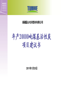 煤基活性炭建议书-初稿