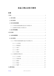 冶金工程认识实习报告