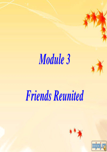 英语外研版选修六 Module3 cultural corner Friends Reunited