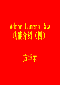 Adobe-Camera-Raw功能介绍(四)