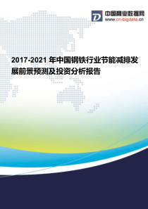 2017-2021年中国钢铁行业节能减排发展前景预测及投资分析报告