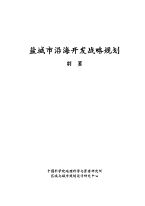 盐城市沿海开发战略规划(doc 33页)