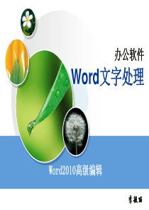 word(9)-邮件合并和目录