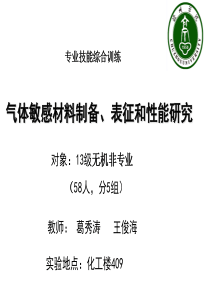 气体敏感材料制备、表征和性能研究