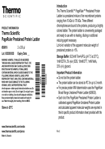 PageRuler-Prestained-Protein-Ladder-26616-Thermo-S