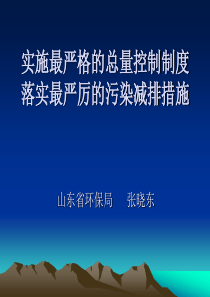 实施最严格的总量控制制度