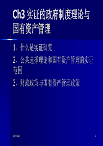 实证的政府制度理论与国有资产管理