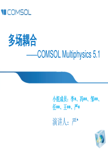 介绍comsol-multiphysics的演讲ppt