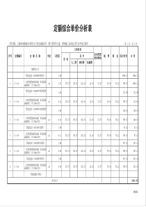 分部分项工程预算分析表