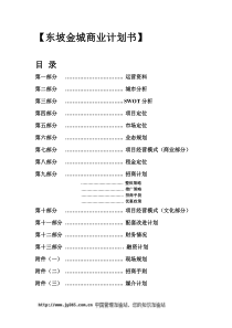 东坡金城商业计划书doc14