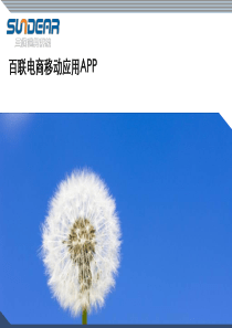 百联电商移动应用APP方案