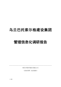 索尔格集团信息化调研报告