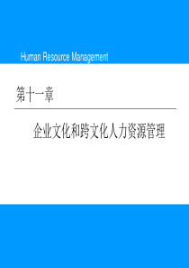 第十一章企业文化和跨文化人力资源管理