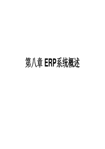 ERP系统概述