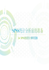 2.4--SPSS数据的计算和变换