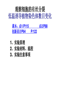 观察有丝分裂与低温诱导染色体加倍