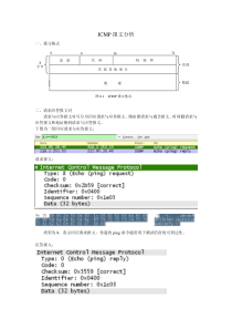 ICMP报文分析