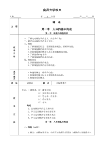 运动解剖学教案