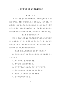 小额贷款公司贷款制度