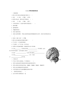 神经系统的组成同步练习同步练习与总结初中生物人教版七年级下册教学资源