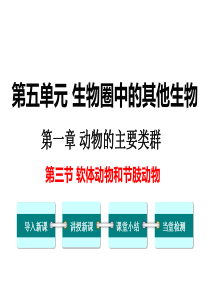 第三节软体动物和节肢动物备份2人教版八年级上册初中生物教学资源