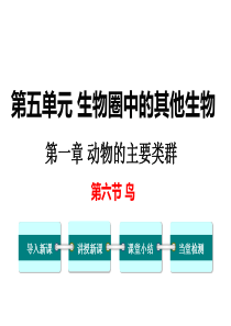 第六节鸟备份人教版八年级上册初中生物教学资源