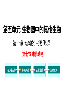 第七节哺乳动物备份人教版八年级上册初中生物教学资源