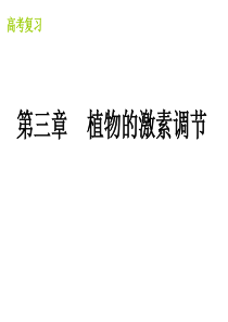 高考生物二轮专题复习课件4高三生物课件