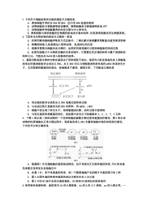 广东省深圳市高级中学2016届高三第三次模拟考试理综生物试题