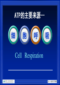 高一生物ATP的主要来源2高一生物课件