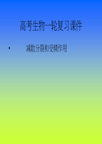 高一生物减数分裂和受精作用1高一生物课件