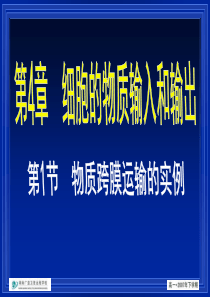 高一生物物质的跨膜作用高一生物课件