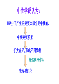 高一生物生物进化理论的发展4高一生物课件