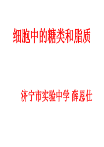 高一生物细胞中的糖类和脂质1高一生物课件