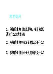 高一生物细胞增殖2高一生物课件