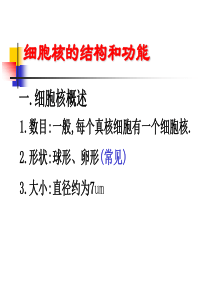 高一生物细胞核的结构和功能1高一生物课件